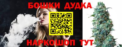 apvp Бийск