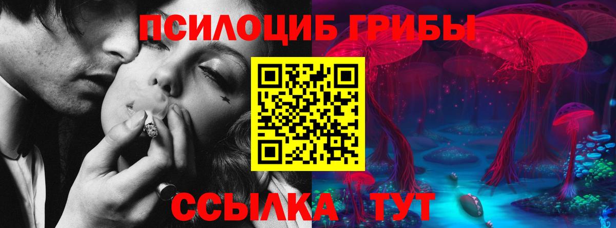 Псилоцибиновые грибы ЛСД  Вход с VPN  Астрахань 