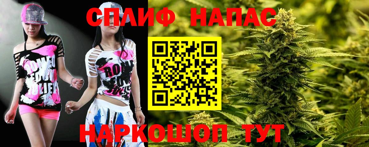 Конопля ГИДРОПОН  Вход с VPN  Астрахань  Канабис план 